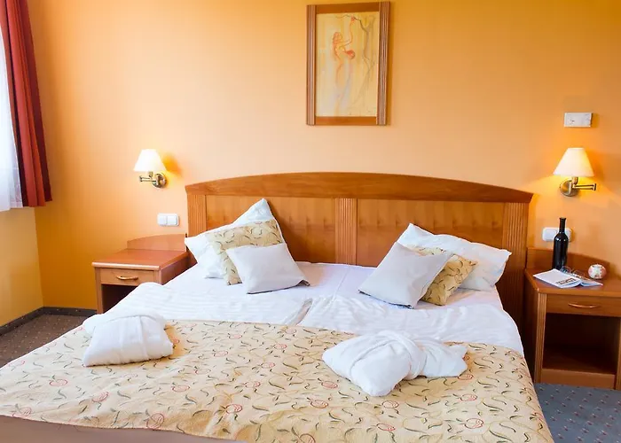 Apartmán Karos Gold 813 Wellness *